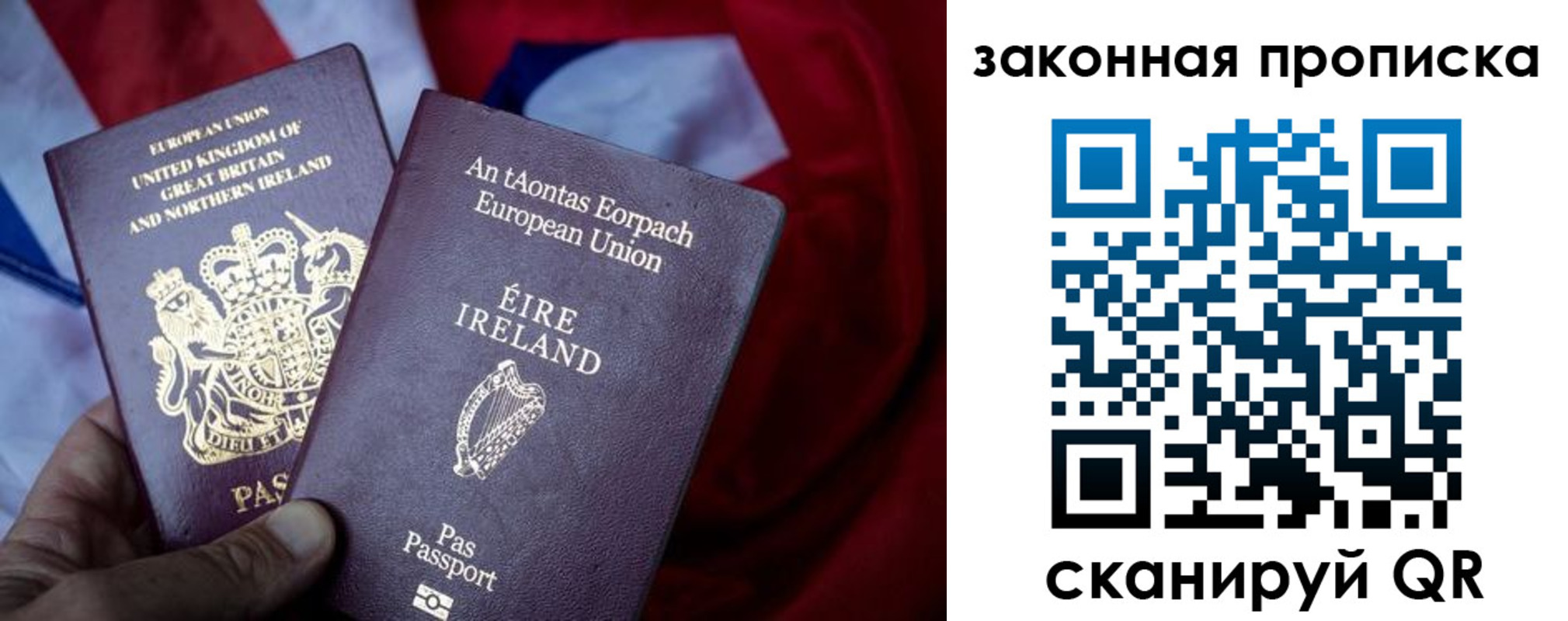 прописка поиск в Ершове